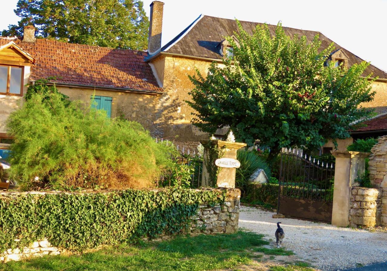 La Vieille Ferme: Superbe Complexe De 3 Gites En Pierre Avec Piscine Au Coeur Du Perigord Noir Saint-Genies Zewnętrze zdjęcie